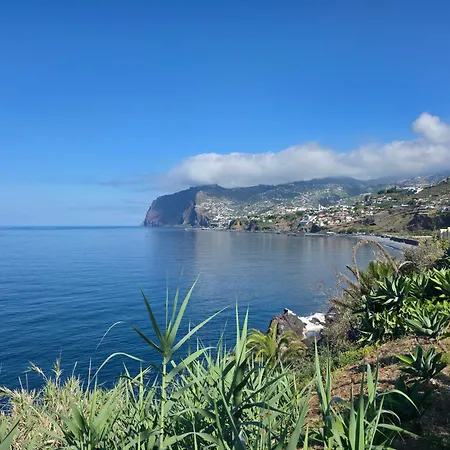 Forum Madeira Ajuda *